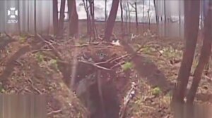Guardas de fronteira divulgam imagens mostrando ataques de drones contra forças russas no Oblast de Kharkiv item-thumbnail