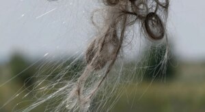item-thumbnail
