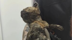 item-thumbnail
