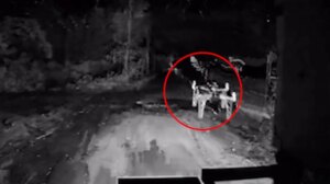 Robô terrestre ucraniano sobrevive a ataque de drone FPV e completa missão – vídeo item-thumbnail