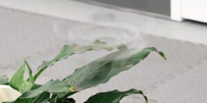 item-thumbnail