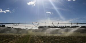 item-thumbnail