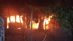 Abrigo de animais no Oblast de Odesa está sob ataque russo: incêndio extinto item-thumbnail