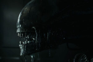 item-thumbnail
