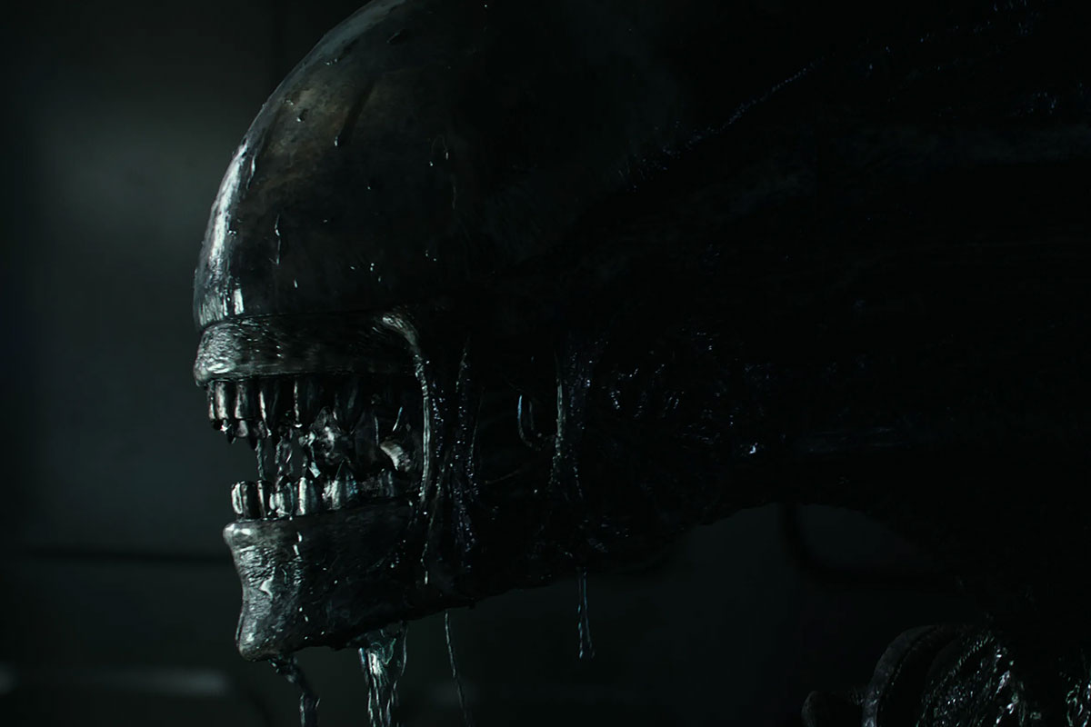 prisoners-writer-pens-new-alien-film