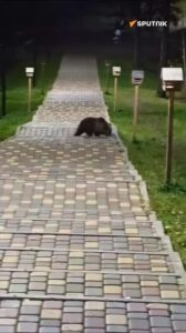 item-thumbnail